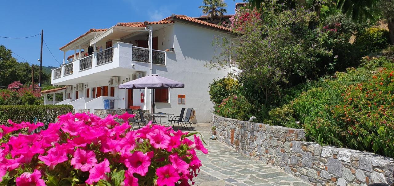 Drosia Apartment Platanias (Skiathos)